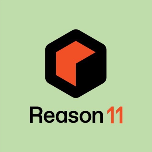 Reason logo